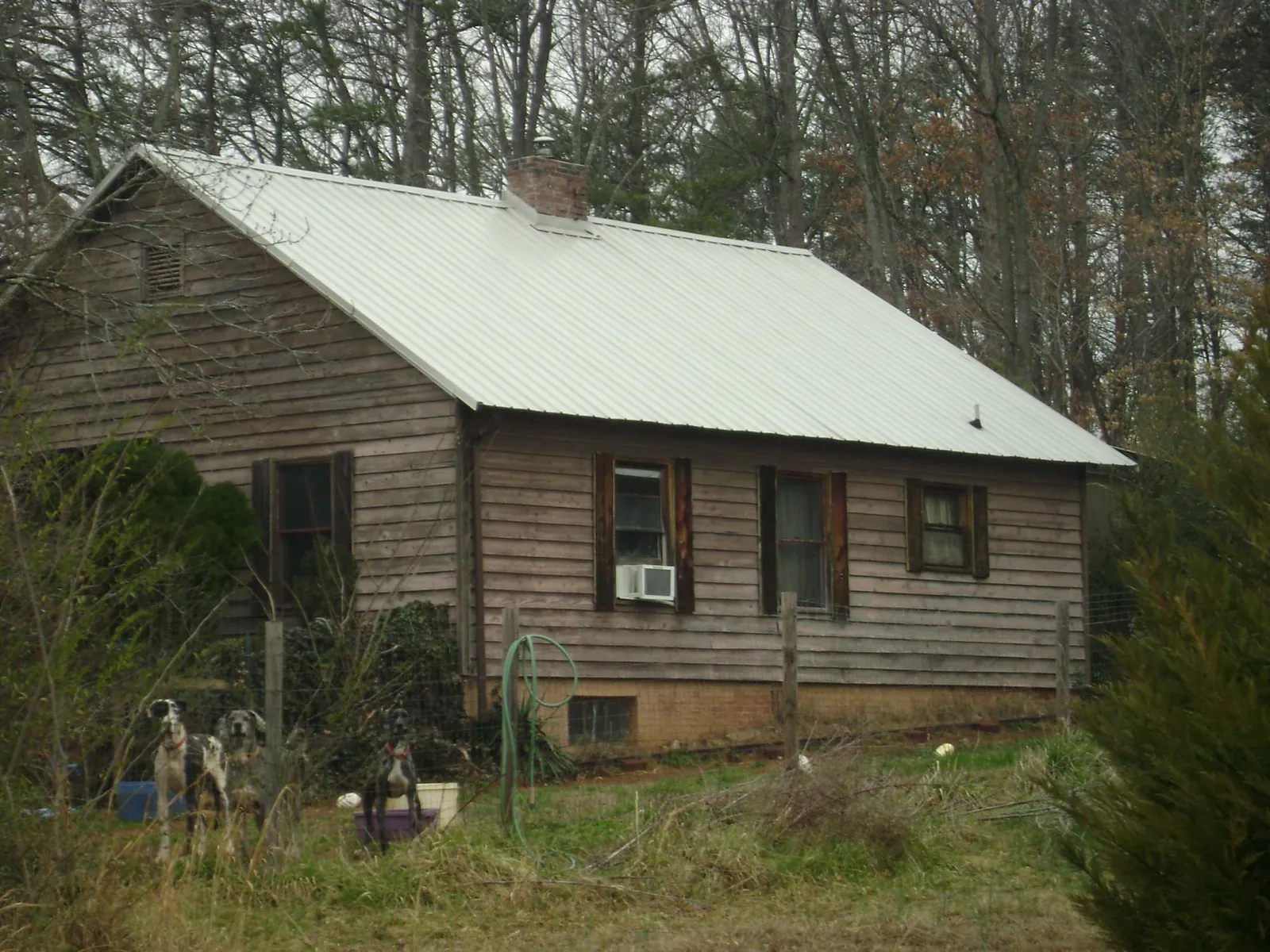 White metal roof on an old wood sided farmhouse, from a Asphalt Shingle Roof Repair job in Croswell